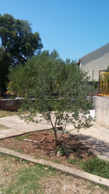 Apartment Marko Sibenik Phòng bức ảnh